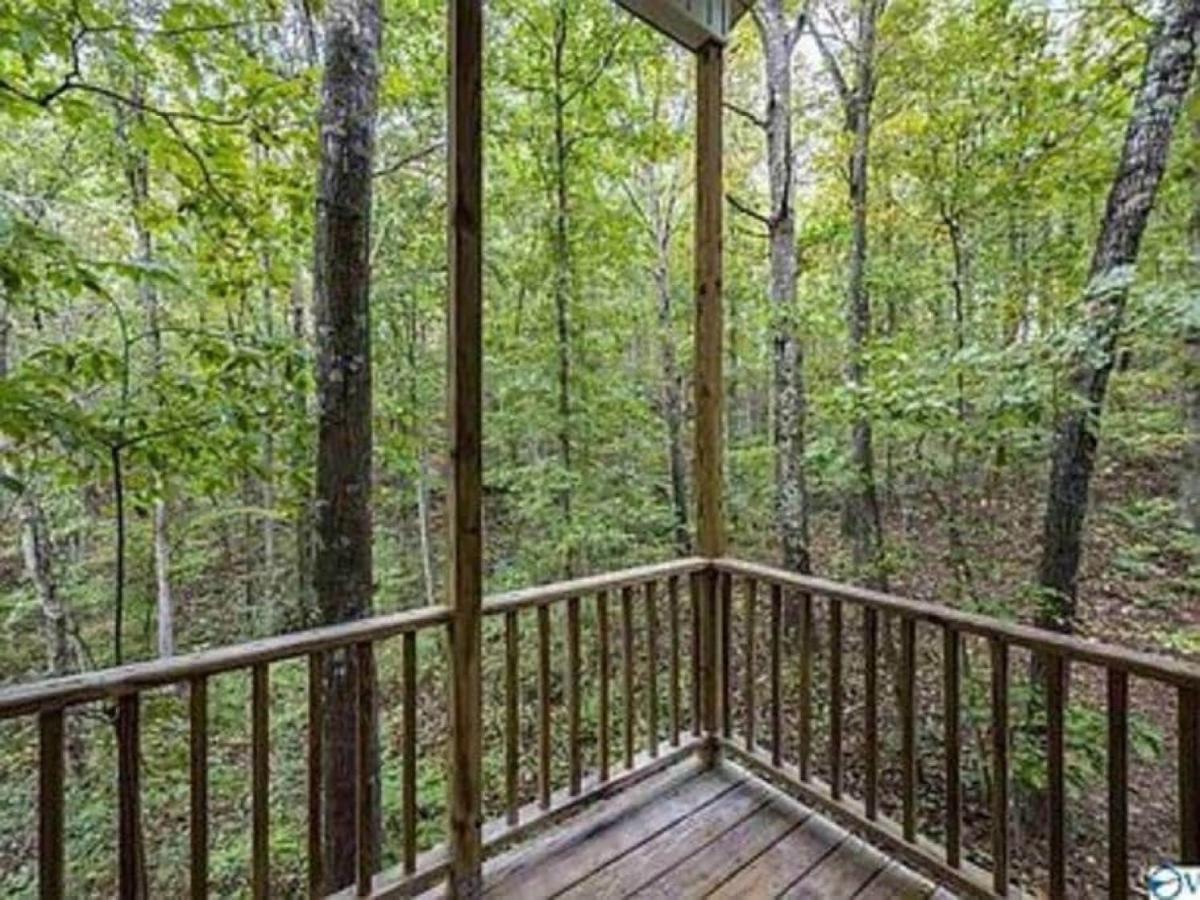 Serenity Escape Treehouse On 14 Acres Near Little River Canyon 포트페이네 외부 사진