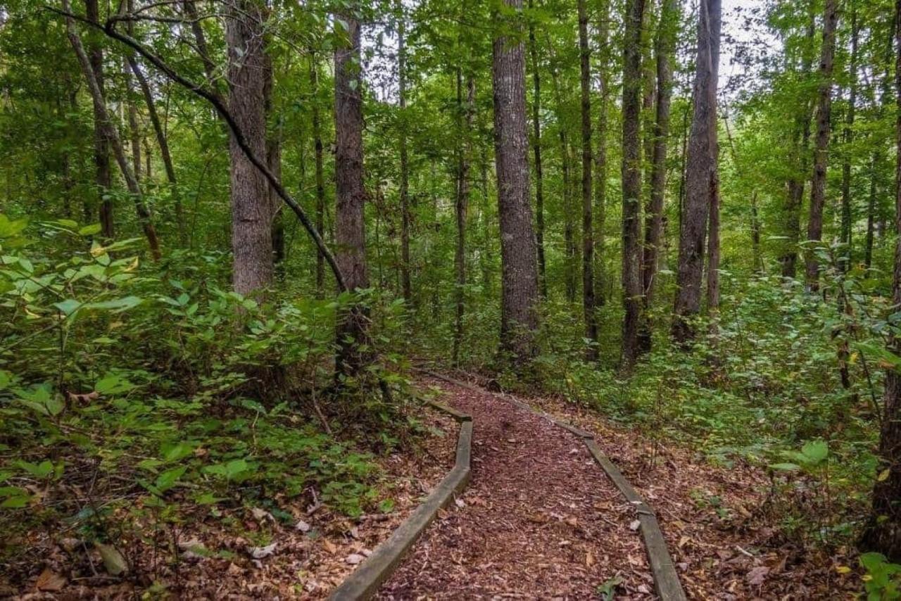 Serenity Escape Treehouse On 14 Acres Near Little River Canyon 포트페이네 외부 사진