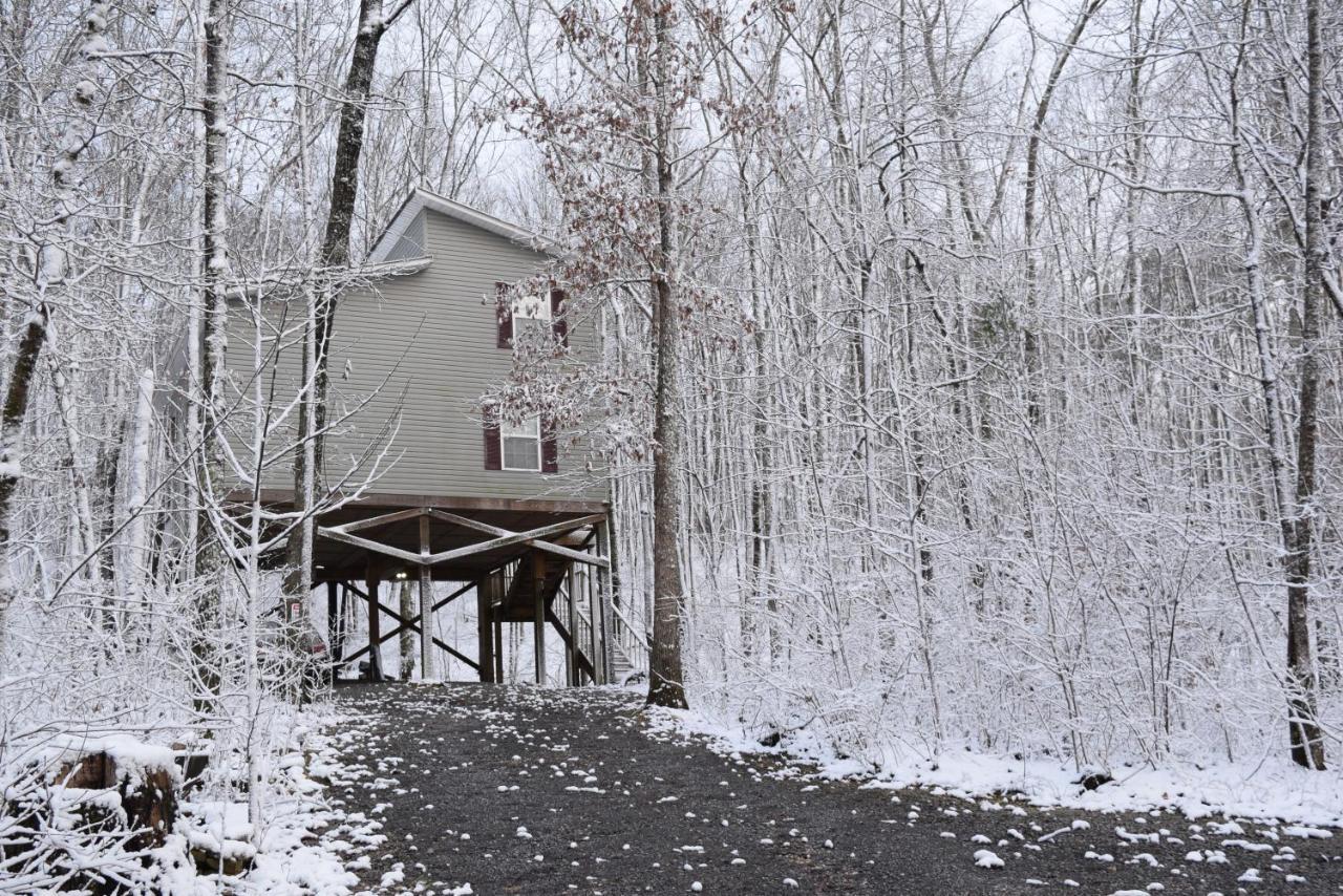 Serenity Escape Treehouse On 14 Acres Near Little River Canyon 포트페이네 외부 사진