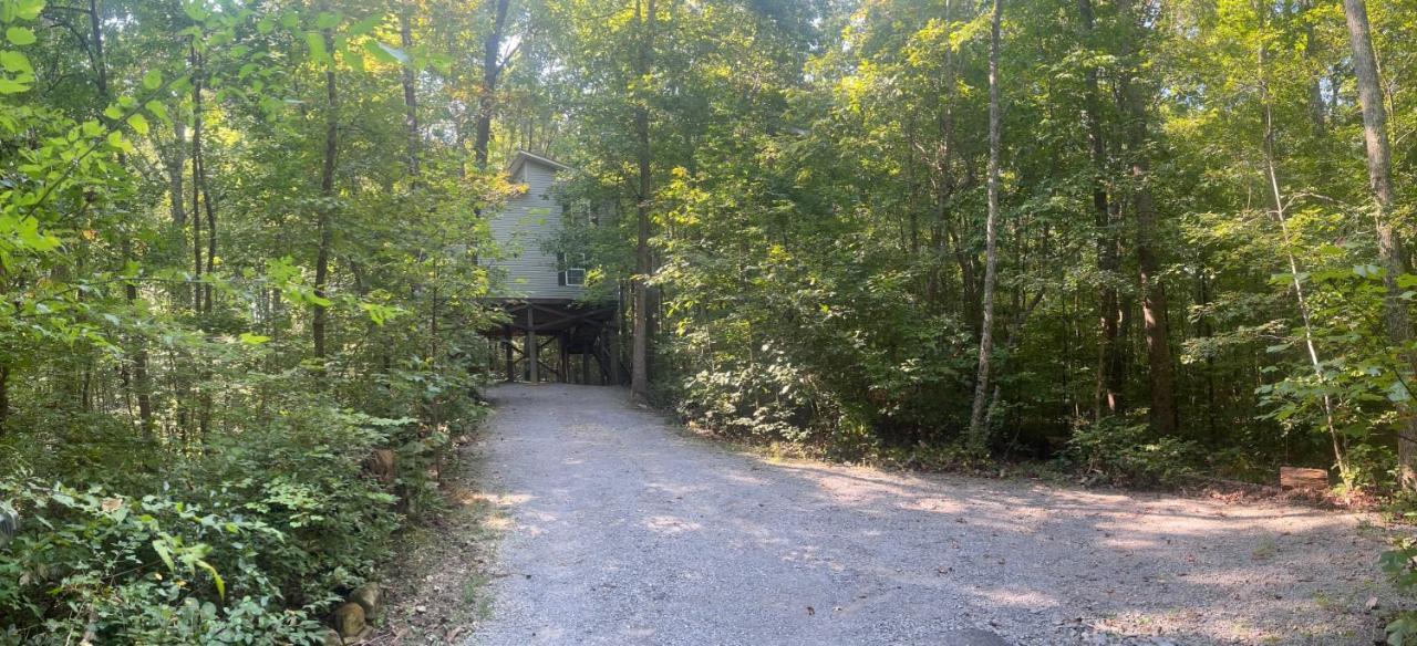 Serenity Escape Treehouse On 14 Acres Near Little River Canyon 포트페이네 외부 사진