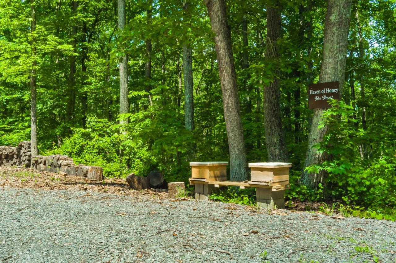 Serenity Escape Treehouse On 14 Acres Near Little River Canyon 포트페이네 외부 사진